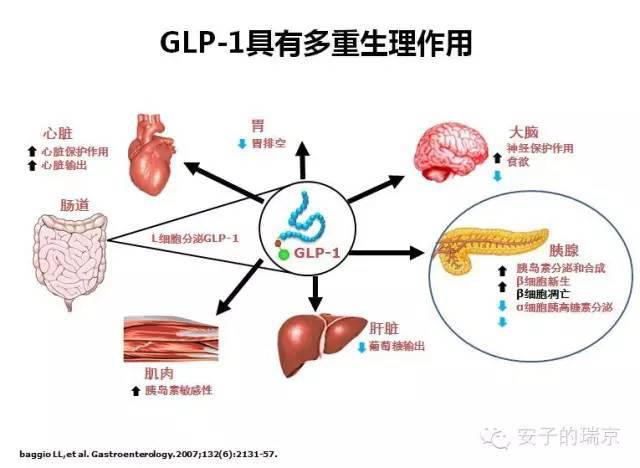 鸭脖官网登录